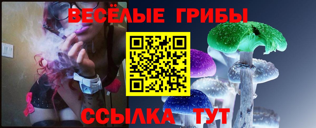 как найти наркотики  Вход с VPN  Коммунар  Галлюциногенные грибы мицелий 